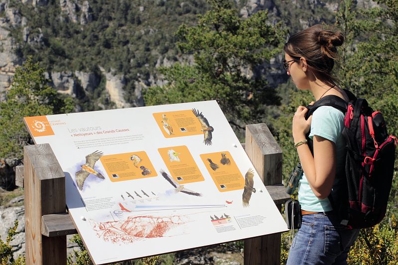 Sentier Oiseaux Des Causses Et Des Gorges