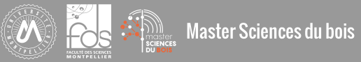master-bois-fds-3.png