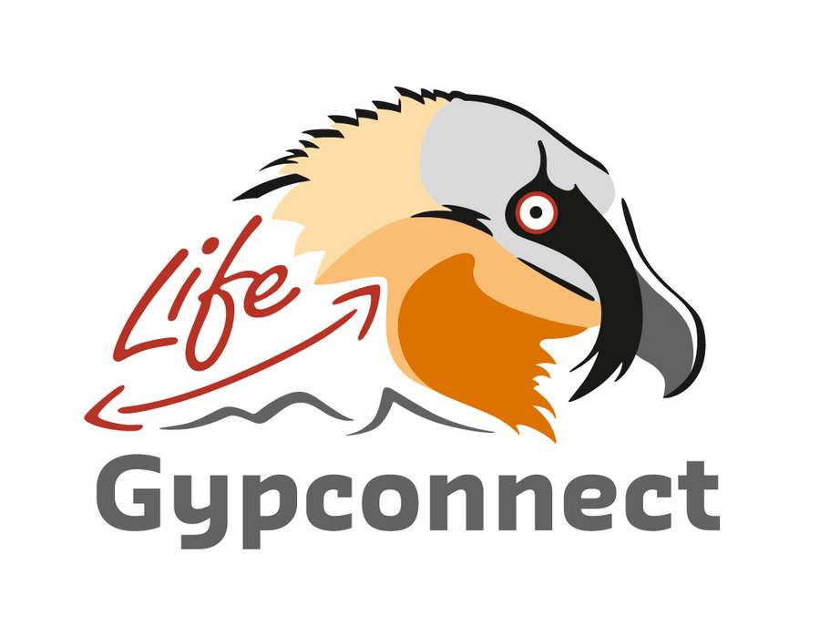 Gypconnect