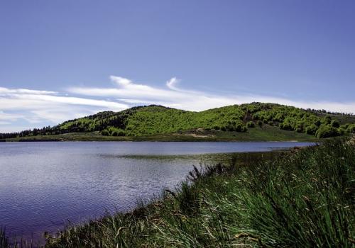 09677_bd_1.jpg
