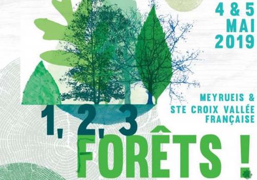 1_2_3_forets.jpg