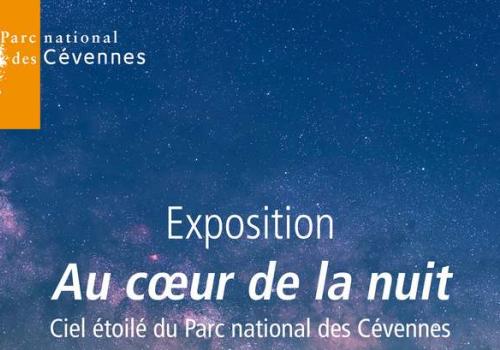 expo_pnc_nuit.jpg