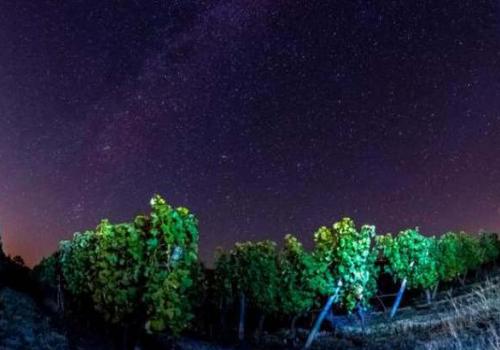 nocturne_du_chateau_de_lebres_0.jpg