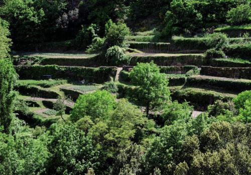 quartier_des_calquieres_a_saint-germain-de-calberte_bancels_et_jardins_c_olivier_prohin_pnc.jpg