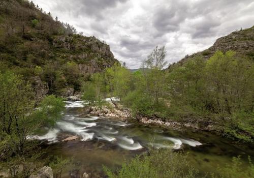 tarn_cocures_y_manche.jpg.800x800_q85_watermark-d41d8cd98f00b204e9800998ecf8427e.jpg