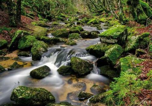 vers_les_cascades_dorgon_aigoual_c_olivier_prohin_pnc.jpg
