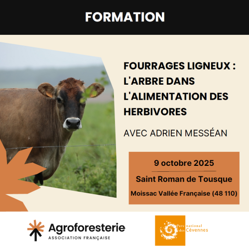 formation