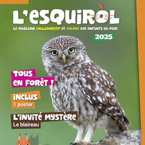 Lesquirol