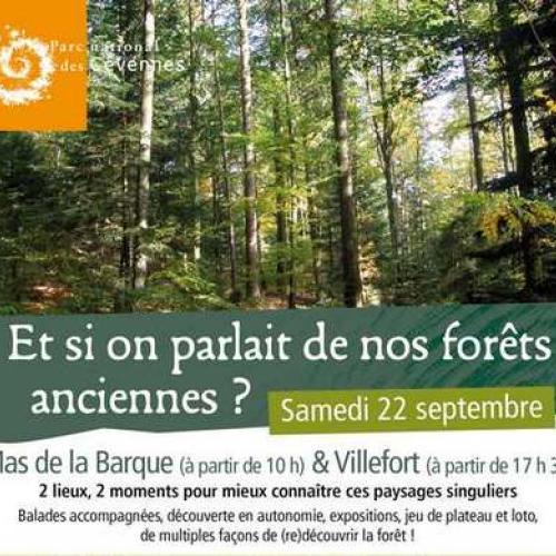 pv_journee_forets_anciennes.jpg