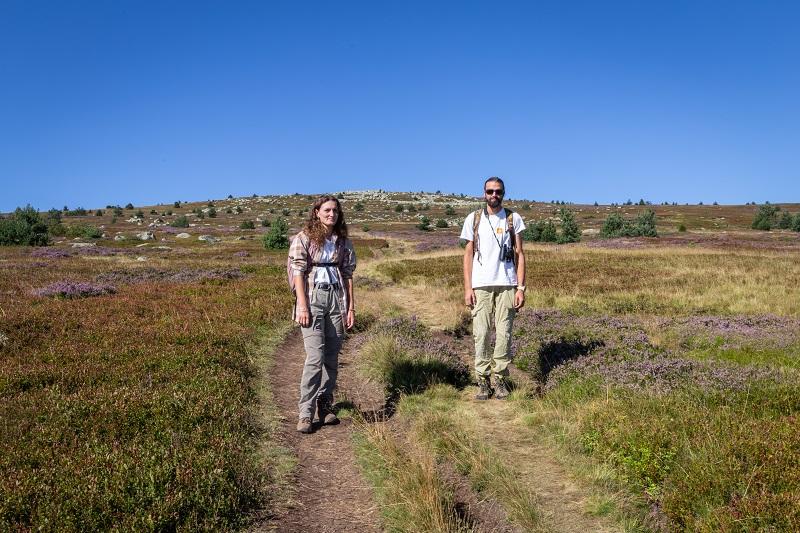 Saisonniers sur le mont Lozère