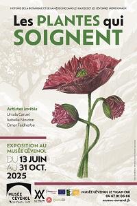 plantes qui soignent