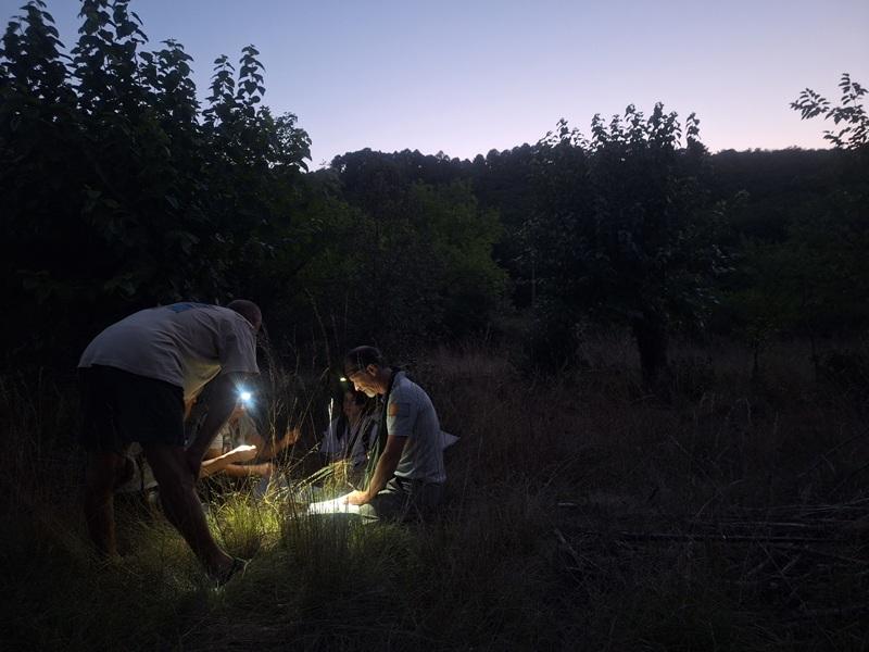 Prospection nocturne