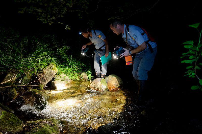 agents du parc national des cévennes qui prospectent de nuit l'écrevisse à pattes blanches