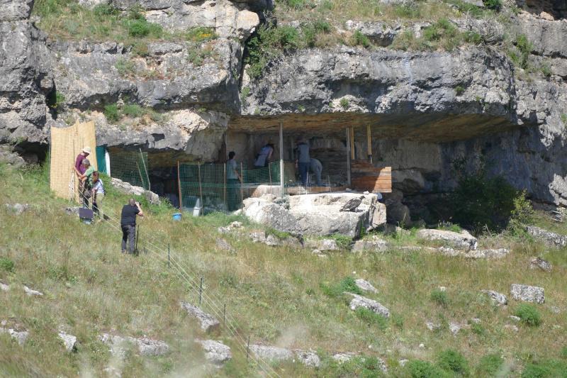 vire de lâcher de jeunes gypaètes barbus