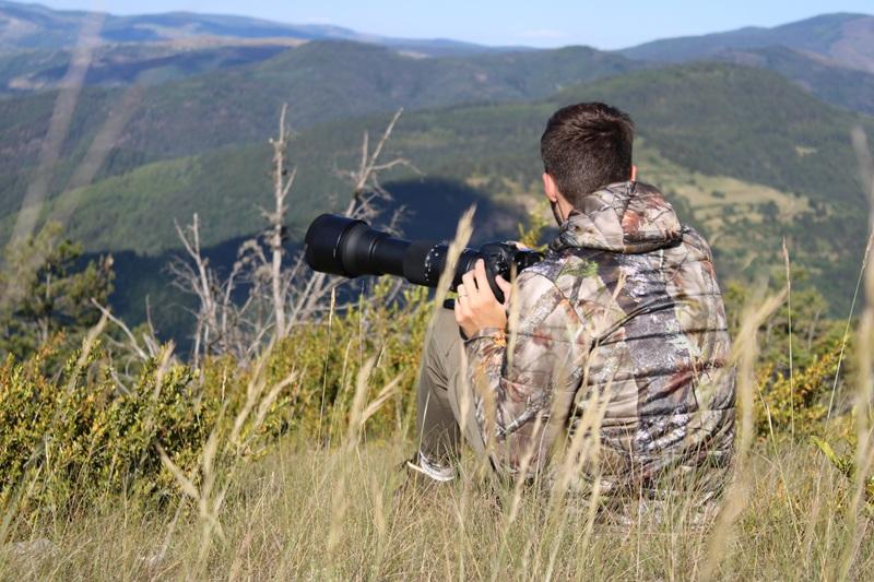 photographe animalier