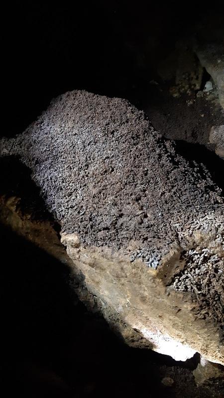 Guano de chauve souris dans une grotte