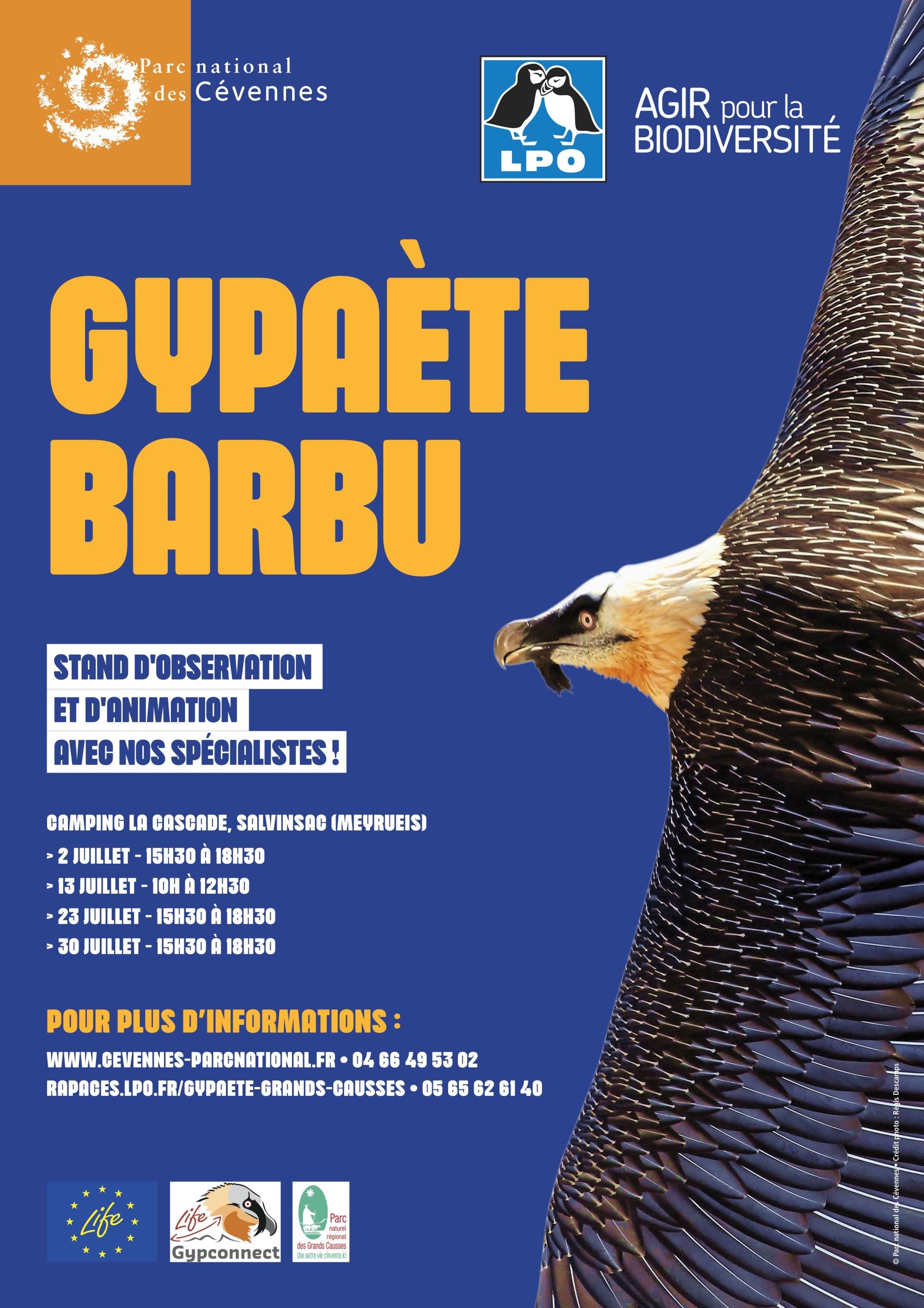 affiche_gypa_anims_07-22.jpg