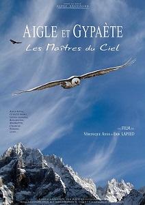 aigle_gypaweb.jpg