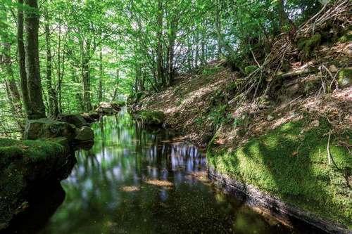 beal_de_villeneuve_c_yannick_manche_pnc.jpg