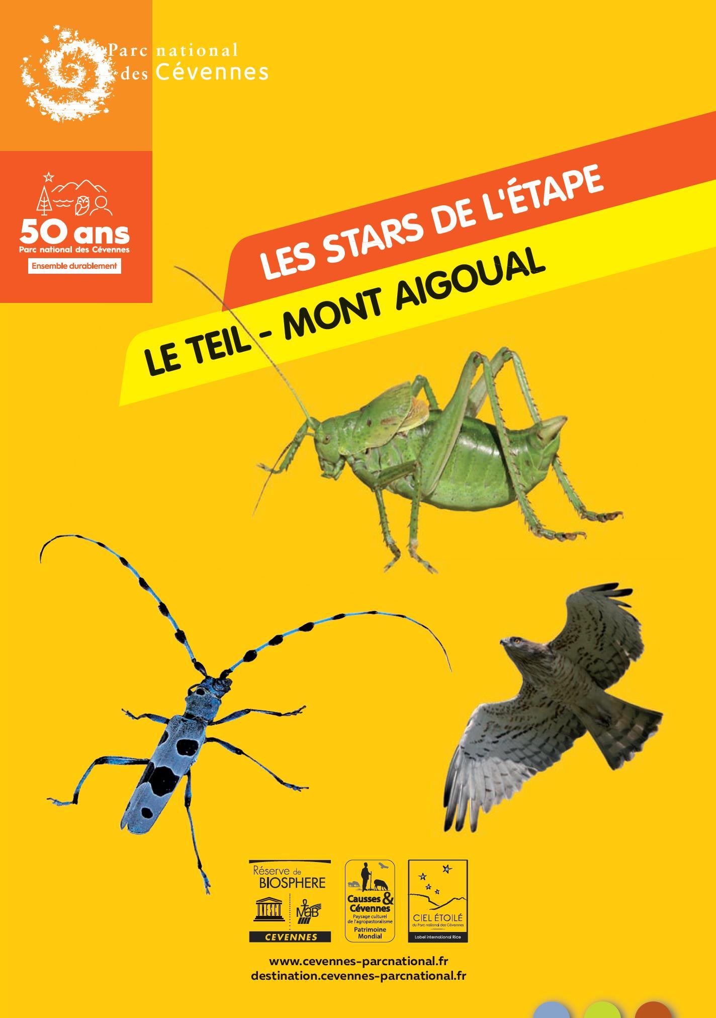 Les stars de l'étape Le Teil - Mont Aigoual
