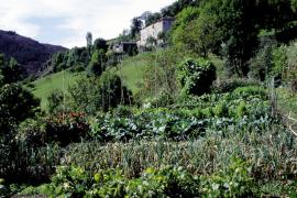 Jardin à Balazuègnes © Michelle Sabatier