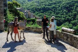 Mas Corbières - Anambule, gite de groupe, location d'ânes © Olivier Prohin