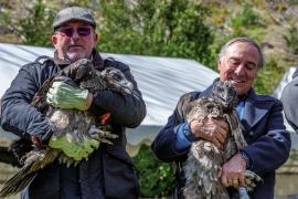 Henri Couderc, président du PNC, et Allain Bougrain Dubourg, président de la LPO - Lâcher de gypaètes barbus dans le Parc national, juin 2019. © Olivier Prohin