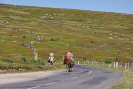 Balade à cheval sur le mont Lozère © Catherine Vambairgue