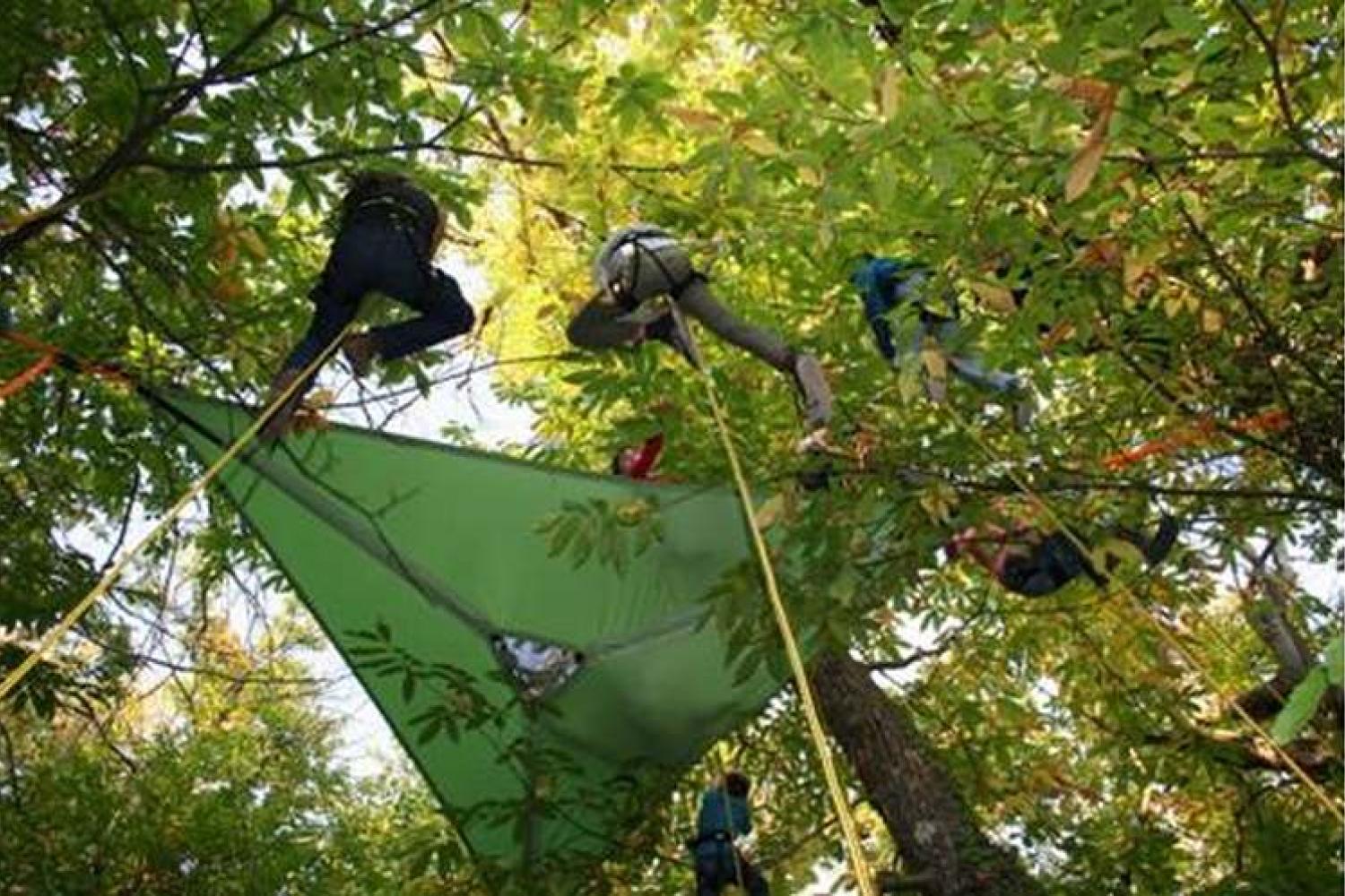 grimpe_aux_arbres_c_laurent_belier_pnc.jpg