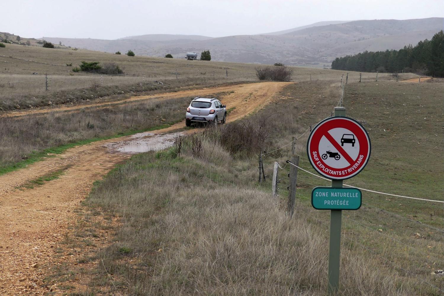 infraction_voiture_dans_le_coeur.jpg