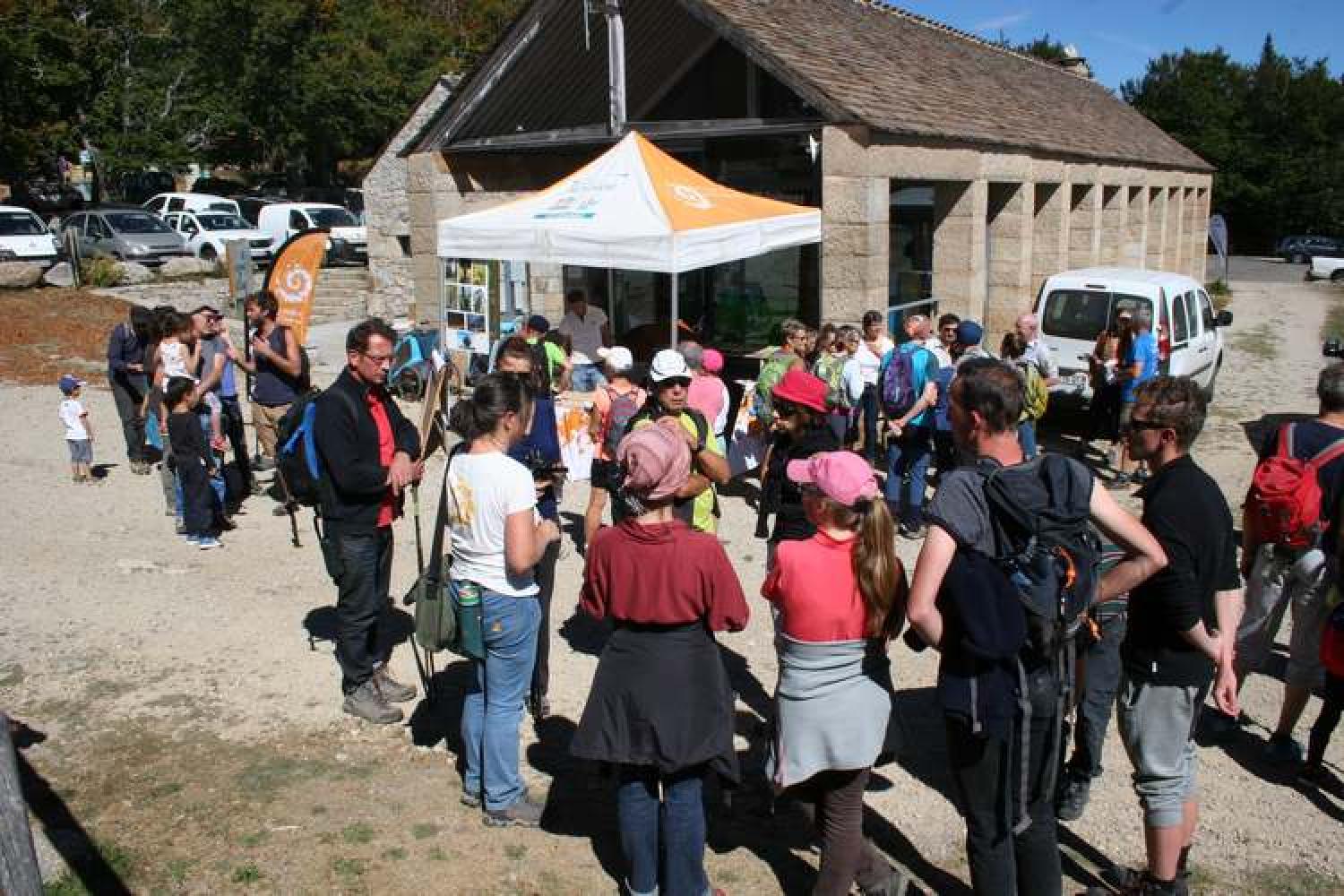 journee_forets_anciennes_c_laurent_belier_pnc.jpg