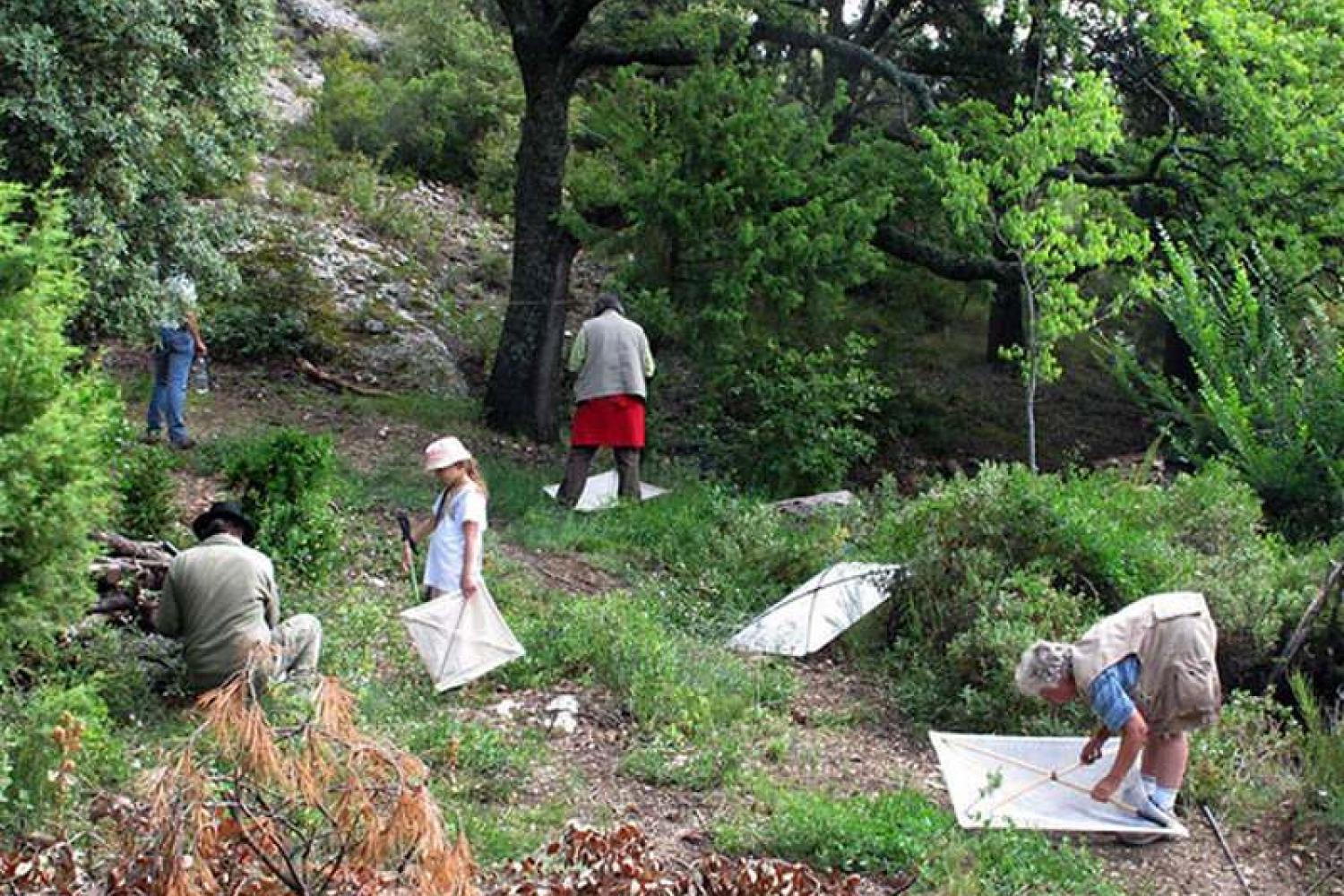 luberon-sortie-forum_fred-_chevaillot-2606.jpg