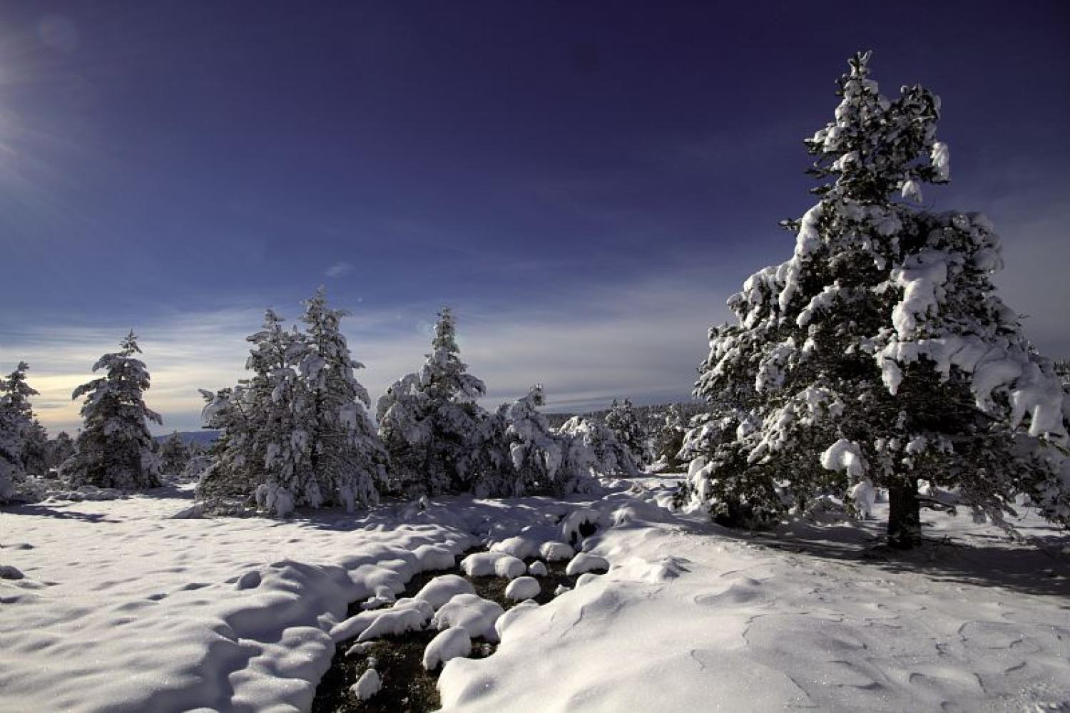 neige_sur_le_mont_lozere_c_jean-pierre_malafosse_pnc.jpg