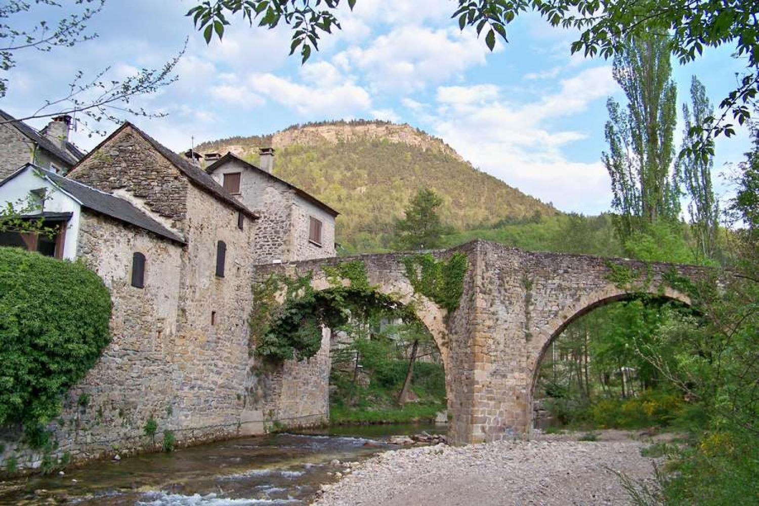 pont_vieux_de_treves_3_c_mairie_de_treves.jpg