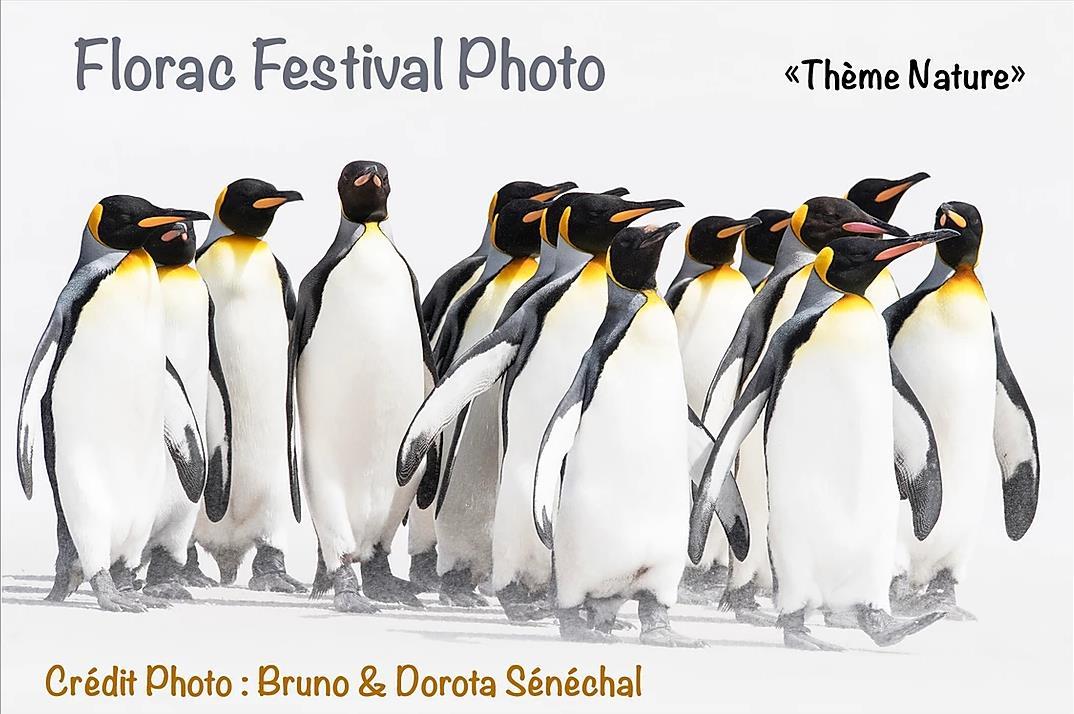 florac-festival-photos-bruno-et-dorota-senechal.jpg