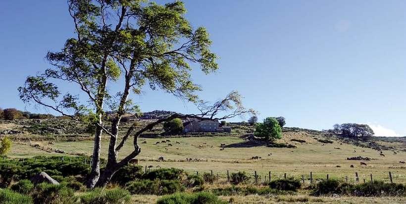 mas_camargues_de_loin_oprohin.jpg.800x800_q85_watermark-d41d8cd98f00b204e9800998ecf8427e.jpg