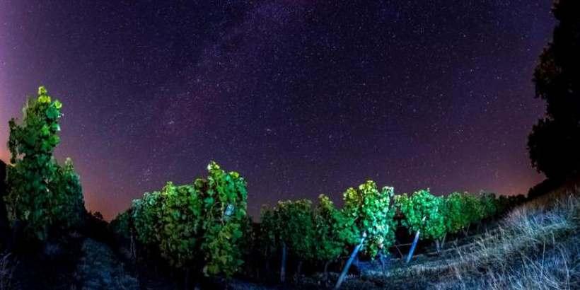 nocturne_du_chateau_de_lebres_0.jpg