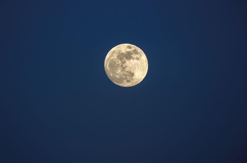 super-lune.jpg.800x800_q85_watermark-d41d8cd98f00b204e9800998ecf8427e.jpg