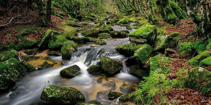 vers_les_cascades_dorgon_aigoual_c_olivier_prohin_pnc.jpg