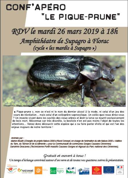 Mardi 26 Mars A L Amphitheatre De Supagro Florac Conf Apero Le Pique Prune Parc National Des Cevennes